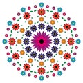 Vector adult coloring book pattern mandala flowers colored - floral background