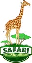 Vector african savannah safari emblem with giraffe