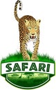 Vector african savannah safari emblem with leopard Royalty Free Stock Photo