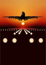 Vector airbus landing at sunset Royalty Free Stock Photo