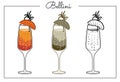 Vector alcohol drink line art illustration Bellini