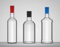 Vector alcoholic drink glass bottles