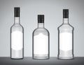 Vector alcoholic drink glass bottles with labels