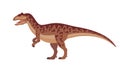 Vector allosaurus dinosaur Royalty Free Stock Photo