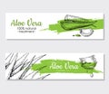 Vector aloe vera hand drawn illustrations. Aloe Vera banner, poster, label, brochure template for business promote.