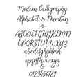 Vector Alphabet. Brush Letters. Handwritten font. Hand lettering typography Royalty Free Stock Photo