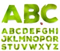 Vector alphabet letters made from green leaves