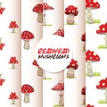 Vector amanita mushrooms pattern background set vector poisonous season toxic fungus food cartoon muscaria, toadstool Royalty Free Stock Photo