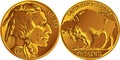 Vector American Buffalo gold coin