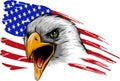 Vector illustation American eagle against USA flag and white background. Royalty Free Stock Photo