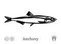 Vector anchovy fish illustration Royalty Free Stock Photo