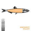 Vector anchovy illustration Royalty Free Stock Photo