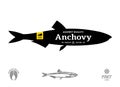 Vector anchovy seafood label Royalty Free Stock Photo