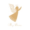 Vector Angel with floral wings and Nimbus Royalty Free Stock Photo