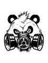 Vector - angry panda head