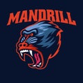 Angry Mandrill Monkey head sport logo