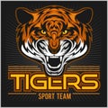 Vector angry tiger face sport emblem Royalty Free Stock Photo