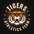 Vector angry tiger sport emblem