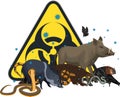 Vector angry wild animal with coronavirus infection: pangolin, bat, pig, snake and biohazard sign