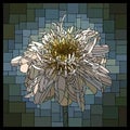 Vector stained glass window with blooming terry camomile.