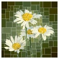 Vector stained glass window with white daisies.