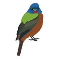 Vector animal clip art. Vector illustration of a green and blue starling