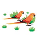 Vector animal clip art. Vector illustration of a pair of orange twisted parakeets