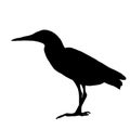 Black silhouette of a heron on a white background. Royalty Free Stock Photo