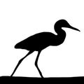 Black silhouette of a heron on a white background. Royalty Free Stock Photo