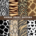 Ctor animal print seamless pattern