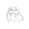 Vector animal river common otter, otter, sea otter, vector sketch illustration