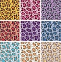 vector animal skin textures of leopard Royalty Free Stock Photo