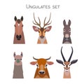 Vector animals heads set. Lama deer antelope donkey horse cow