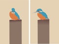 vector of animals: two pictures of kingfishers sitting on a pole
