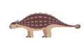 Vector ankylosaurus dinosaur Royalty Free Stock Photo