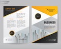 Vector annual report Business brochure, flyers design template, company profile