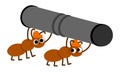Vector ants in hard hats bringing big metal pipe. Construction site worker illustration for kids. Funny builder insect characters