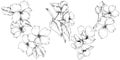 Vector. Appe blossom flowers. Wild spring leaf. Isolated apple b