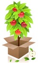 Vector apple tree. Royalty Free Stock Photo