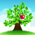 Vector apple tree Royalty Free Stock Photo