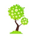 Vector Apple Tree illustration Royalty Free Stock Photo