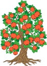 Vector apple tree. Tree collection. Tree season Royalty Free Stock Photo