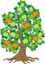 Vector apple tree. Tree collection. Tree season Royalty Free Stock Photo