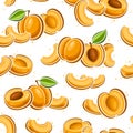 Vector Apricot Seamless Pattern