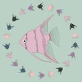 Vector aquarium fish angelfish