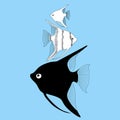Vector aquarium fish angelfish Royalty Free Stock Photo