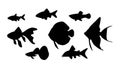 Vector aquarium fish in black silhouette isolated on white background. Royalty Free Stock Photo