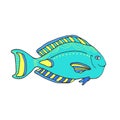 Vector Aquarium fish . Hand drawn printed illustration. Kids art print.