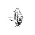 Vector aquarium golden fish silhouette hand drawn illustration. Ink pen sketch style. icon Royalty Free Stock Photo