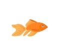 Vector aquarium golden fish silhouette illustration Royalty Free Stock Photo